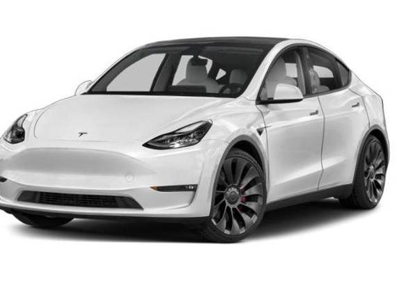 TESLA MODEL Y 2021 5YJYGDEE2MF066390 image